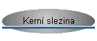 Kern slezina